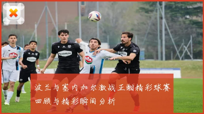 波兰与塞内加尔激战正酣精彩球赛回顾与精彩瞬间分析