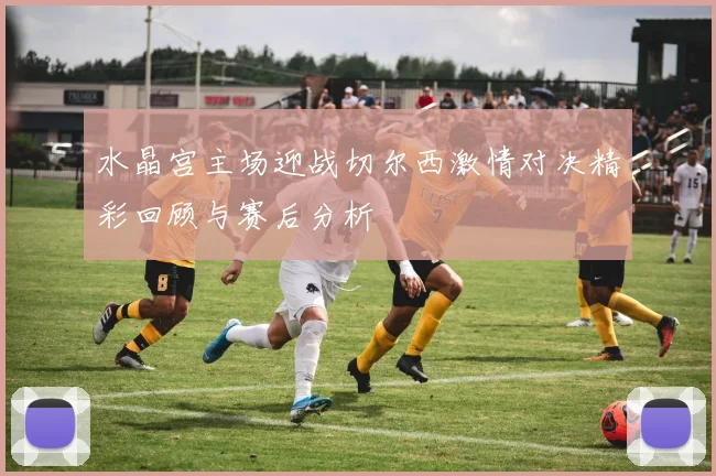 水晶宫主场迎战切尔西激情对决精彩回顾与赛后分析