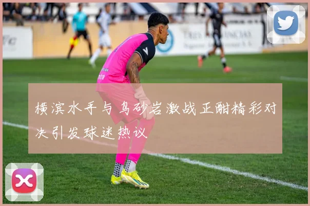 横滨水手与鸟砂岩激战正酣精彩对决引发球迷热议
