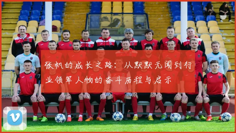 张帆的成长之路：从默默无闻到行业领军人物的奋斗历程与启示